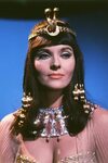 Lee Meriwether Batman Cleopatra Related Keywords & Suggestio